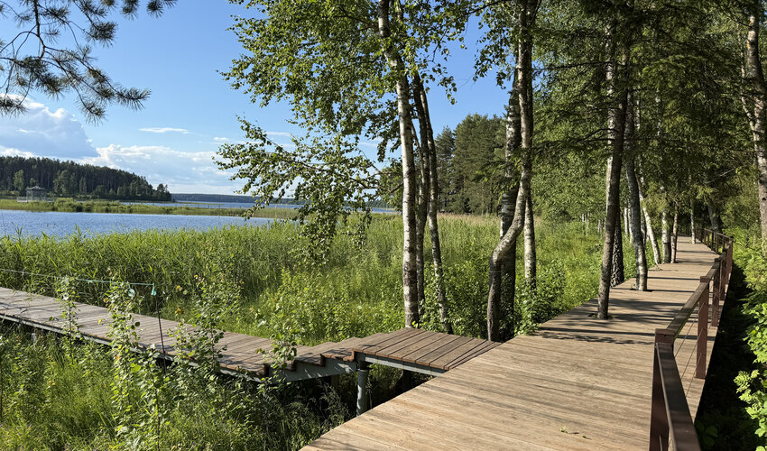 Ландшафтный дизайн фото