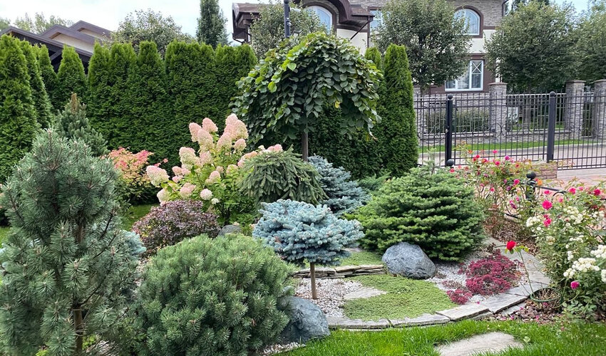 Ландшафтный дизайн фото